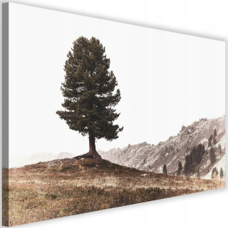 Obrázok na plátne 90x60 Krajina ľahká krajina