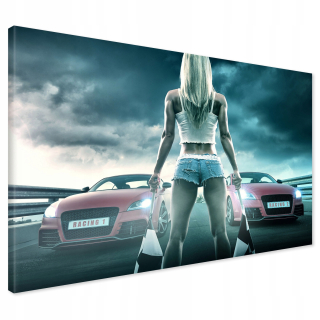 Obrázok na plátne Audi TT preteky 100x70