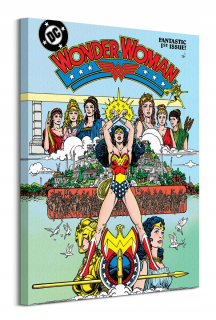 Plagát Wonder Woman DC Comics Film bez rámu 60 x 80 cm