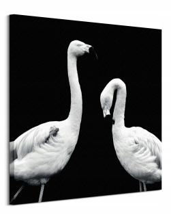 Flamingo Flamingo Canvas Painting 85x85 cm