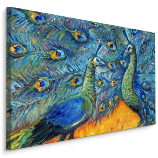 Farebný obraz Pávové plátno 120 x 80 cm