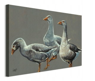 Tri husi husi - maľovanie na plátne 60x80 cm