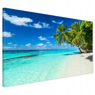 Obrázok na plátne Maldivy Palm Beach 100x70