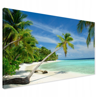 Obrázok na plátne Maldivy Palm Beach 120x80