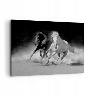 Obrázok andalúzskeho plátna AA100X70-4240 Kone