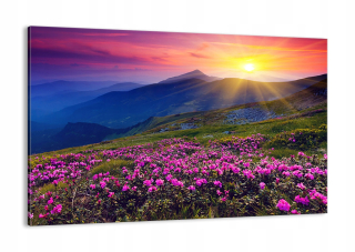 Obrázok na plátne pohoria svahy kvety AA120X80-2676