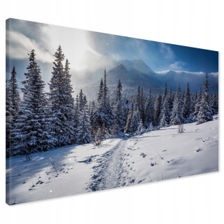 Obrázok na plátne Mountains Winter Forest 100x70
