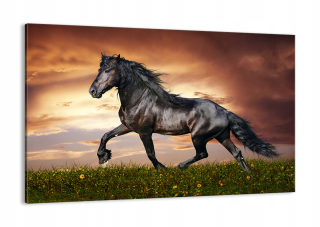 Obrázok na plátne Horse Gallop Nature AA120X80-2608