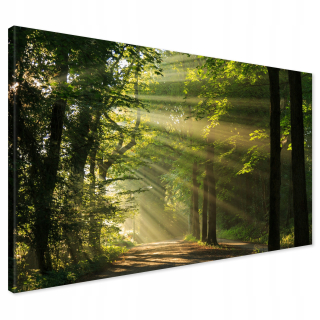Obrázok na plátne lesný strom 120x80