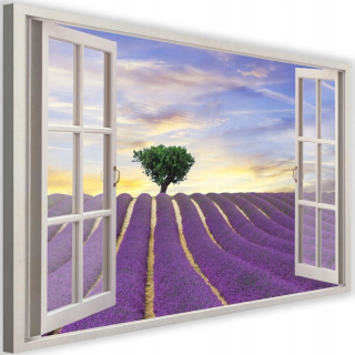 Obrázok na okne plátna - levanduľové pole - 90x60