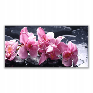 Obrázok 140x70 kvet orchideí do miestnosti
