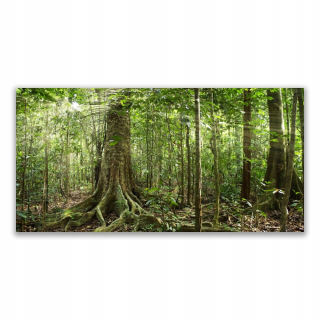 Obrázok 140x70 Forest Natura Jungle zo stromu