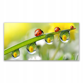 Obrázok 140x70 cm leaf ladybug Príroda
