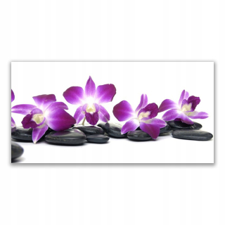 Obrázok steny 140x70 Kúpeľný kvet Orchida