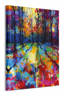 Obrázok steny - farebná abstrakcia - 80x60cm