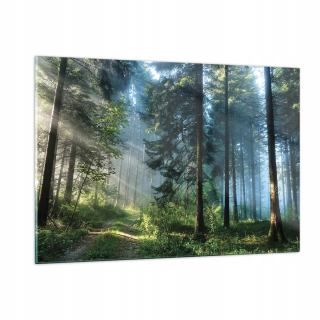 Obrázok na skle 120x80 Forest Sun