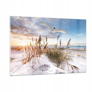 Obrázok na skle 120x80 Seagull Sea Coast