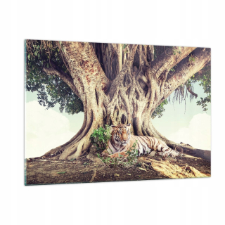 Obrázok na skle 120x80 Tiger Wild Tree