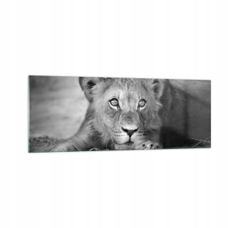 Obrázok na skle 140x50 Lion Ázijský portrét