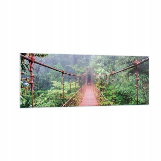 Obrázok na skle 140x50 zavesený most Costa Rica