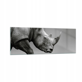 Obrázok na skle 140x50 Monochromatický nosorožca
