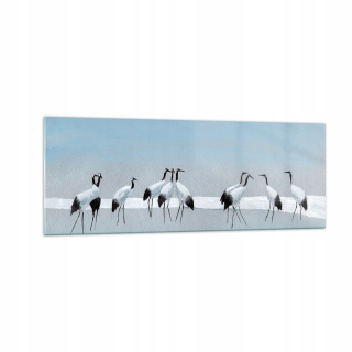 Obrázok na skle 140x50 Birds Cranes Príroda
