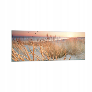 Obrázok na skle 140x50 Sun Birds Sand Sand