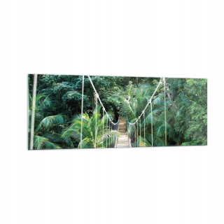 Obrázok na skle 140x50 Tropics Jungle Bridge