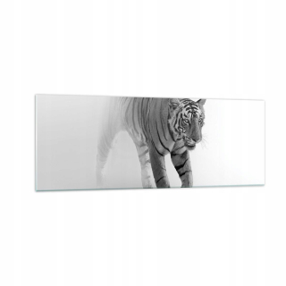 Obrázok na skle 140x50 Monochromatický tiger