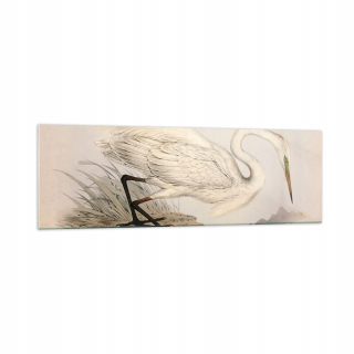 Obrázok na skle 160x50 Bird White Heron