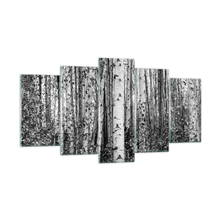 Obrázok na skle 160x85 brezový monochromatický les