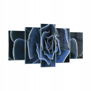 Obrázok na skle 160x85 Blue Cactus Flower