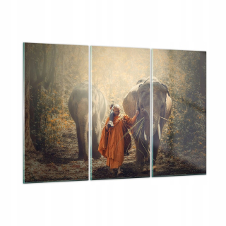 Obrázok na sklenenej Ázii Elephant Monk GCE165X110-3453
