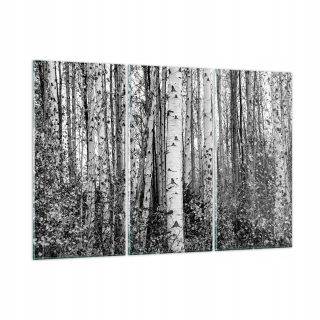 Obrázok na skle 165x110 Monochromatický les Birch
