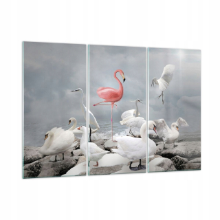 Obrázok na skle 165x110 Flaming Swan Fantasy