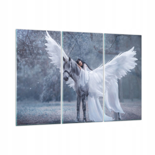 Obrázok na sklenenom koňskom krídle Pegasus GCE165X110-3998