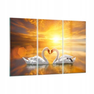 Obrázok na skle 165x110 Swans Heart Water