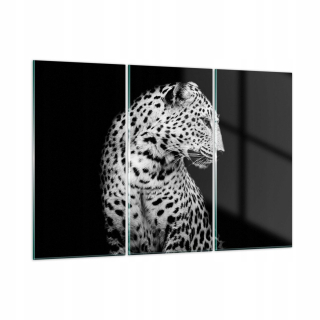 Obrázok na skle 165x110 Leopard Panther Cat