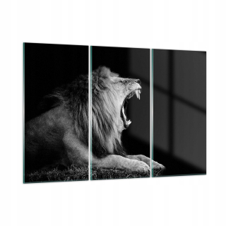 Obrázok na skle 165x110 Lion Lion Black and White