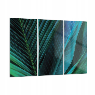Obrázok na skle 165x110 Zelený list Tropics