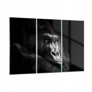 Obrázok na skle 165x110 Monkey Gorilla Portrét