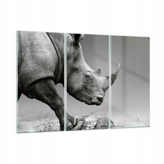 Obrázok na skle 165x110 Monochroma rhino