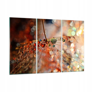 Obrázok na plavidle Spider Modern GCE165X110-3774