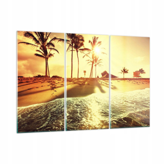 Obrázok na skle 165x110 PALMA Beach Sun Sun