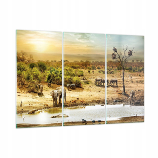 Obrázok na skle 165x110 Savanna Elephant Giraffe