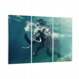 Obrázok na skle 165x110 Elephant Sea Ocean