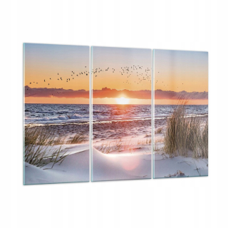 Obrázok na skle 165x110 Sun Beach Birds