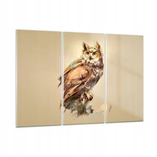 Obrázok na skle 165x110 Owl Piły Pusters