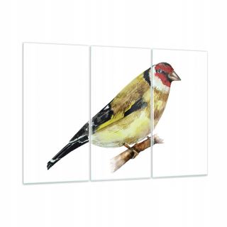 Obrázok na skle 165x110 Szczygieł Bird Watercolor