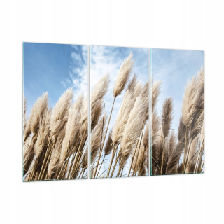Obrázok na skle 165x110 Cane Heaven Boho